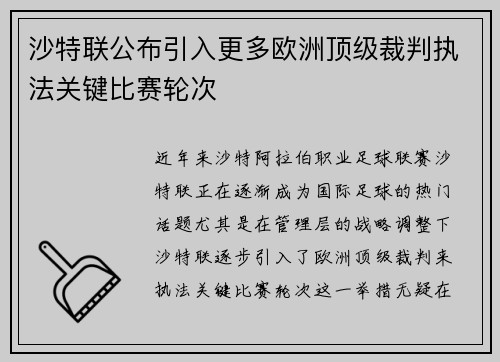 沙特联公布引入更多欧洲顶级裁判执法关键比赛轮次