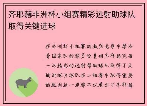 齐耶赫非洲杯小组赛精彩远射助球队取得关键进球